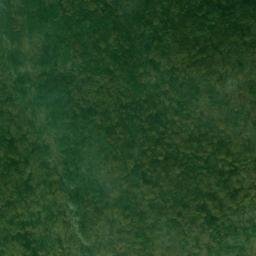 Satellite imagery of Long Point, US