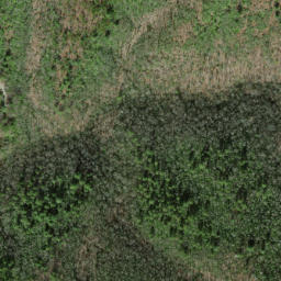 Satellite imagery of Tibb Ridge, US