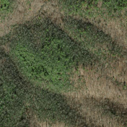 Satellite imagery of Tibb Ridge, US