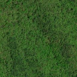Satellite imagery of Boardtree Ridge, US