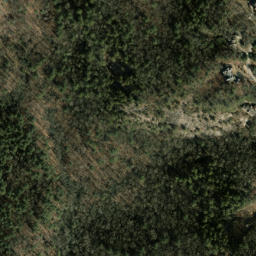 Satellite imagery of Timber Ridge, US
