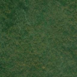 Satellite imagery of Long Point, US
