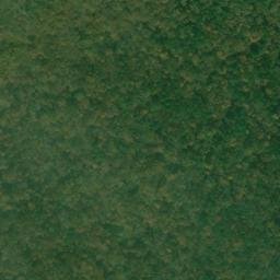 Satellite imagery of Long Point, US