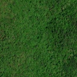 Satellite imagery of Newt Ridge, US