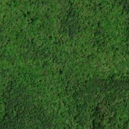 Satellite imagery of Boardtree Ridge, US