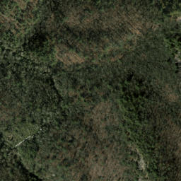Satellite imagery of Timber Ridge, US