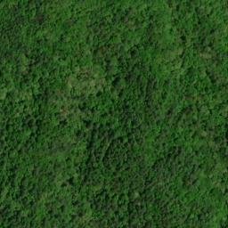 Satellite imagery of Newt Ridge, US
