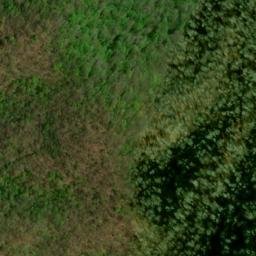 Satellite imagery of Firescald Ridge, US