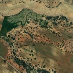Satellite imagery of Argoub el Aoud, DZ