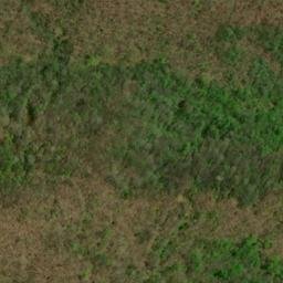 Satellite imagery of Bruce Ridge, US