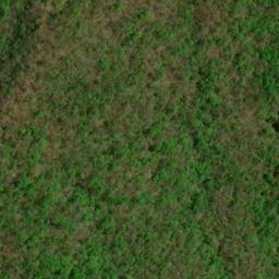 Satellite imagery of Bruce Ridge, US
