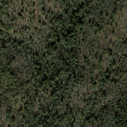 Satellite imagery of Air Ridge, US