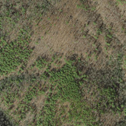 Satellite imagery of Crowder Bluff, US