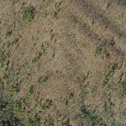 Satellite imagery of Crowder Bluff, US