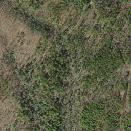 Satellite imagery of Crowder Bluff, US