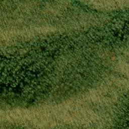 Satellite imagery of Lower Trail Ridge, US