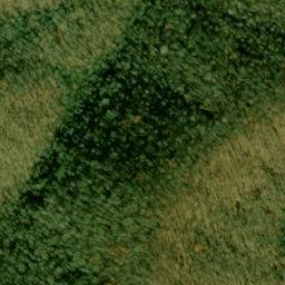 Satellite imagery of Middle Trail Ridge, US