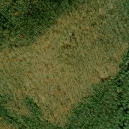 Satellite imagery of Middle Trail Ridge, US