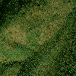 Satellite imagery of Fork Ridge, US