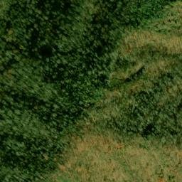 Satellite imagery of Fork Ridge, US