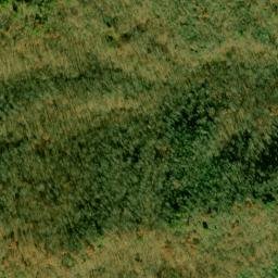 Satellite imagery of Fork Ridge, US