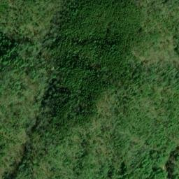 Satellite imagery of Sylco Ridge, US