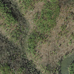 Satellite imagery of Crowder Bluff, US