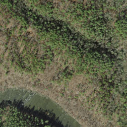 Satellite imagery of Crowder Bluff, US