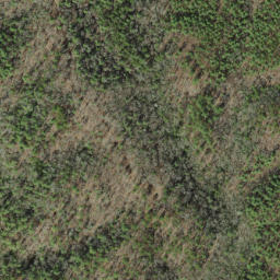 Satellite imagery of Crowder Bluff, US