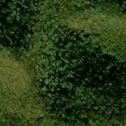 Satellite imagery of Lower Trail Ridge, US