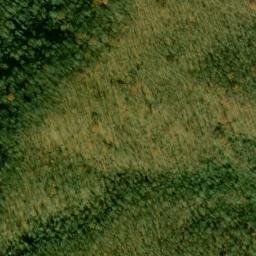 Satellite imagery of Middle Trail Ridge, US