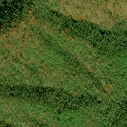Satellite imagery of Fork Ridge, US