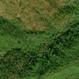 Satellite imagery of Fork Ridge, US