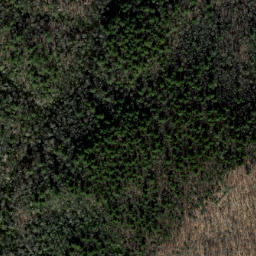 Satellite imagery of Long Spur Ridge, US