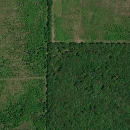 Satellite imagery of WPG — NGS FF1493 — White County, US, US