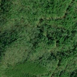 Satellite imagery of Sylco Ridge, US