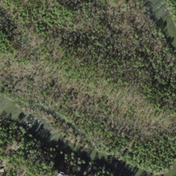 Satellite imagery of Crowder Bluff, US