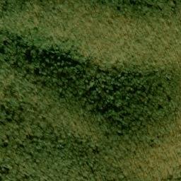Satellite imagery of Lower Trail Ridge, US
