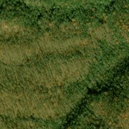 Satellite imagery of Fork Ridge, US