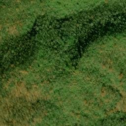 Satellite imagery of Fork Ridge, US