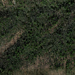 Satellite imagery of Long Spur Ridge, US