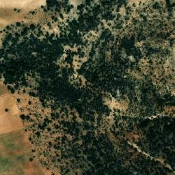 Satellite imagery of Kiffan el Homr, DZ