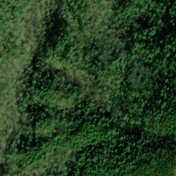Satellite imagery of Sylco Ridge, US