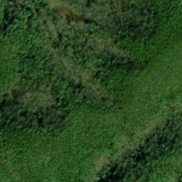 Satellite imagery of Yellow Stand Lead, US