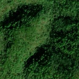 Satellite imagery of Fork Ridge, US