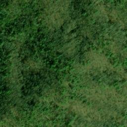 Satellite imagery of Fork Ridge, US
