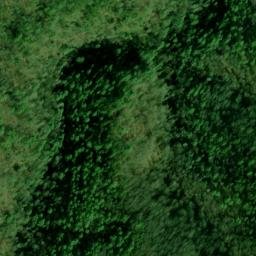 Satellite imagery of Fork Ridge, US