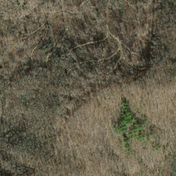 Satellite imagery of Kimsey Ridge, US