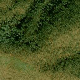 Satellite imagery of Upper Trail Ridge, US