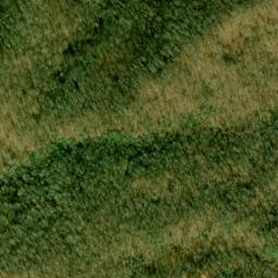 Satellite imagery of Upper Trail Ridge, US